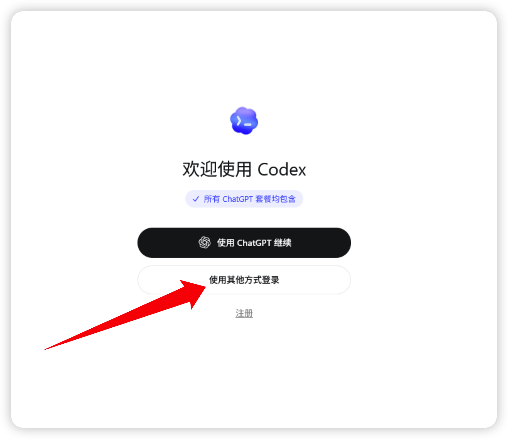 Codex App 首次启动