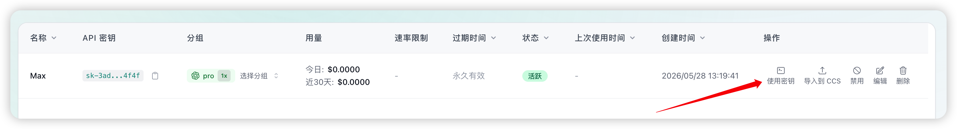 查看 API 密钥配置内容
